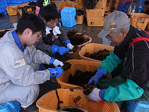 image:New employees working for communities hit by the tsunami