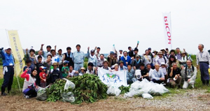 图片：日本：沿着Tamagawa河沿着非洲土着植物物种消除