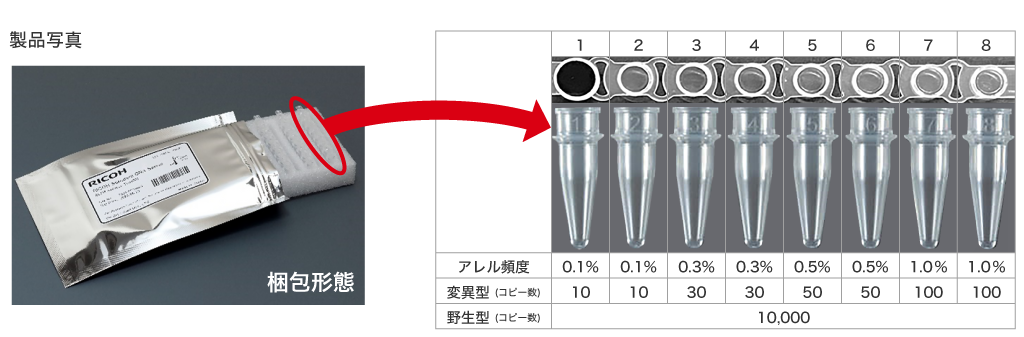 製品写真