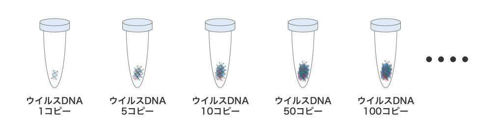 ウイルスDNA