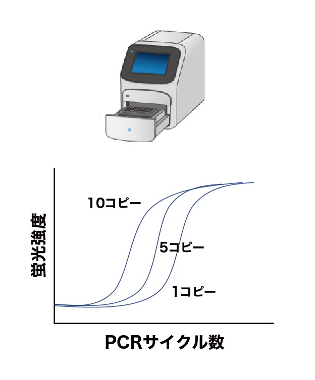 聚合酶链反应