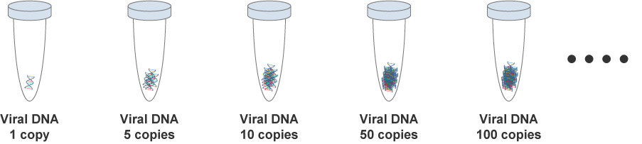 Viral DNA
