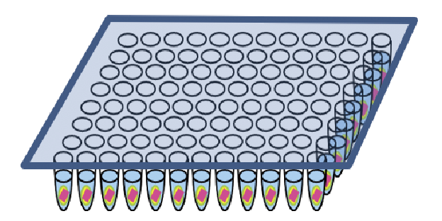 DNA reference plate