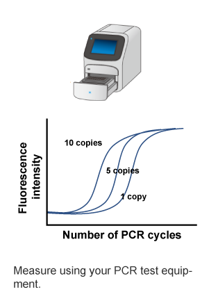 Measure using your PCR test equip-ment.