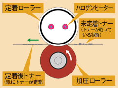 定着の基本機能