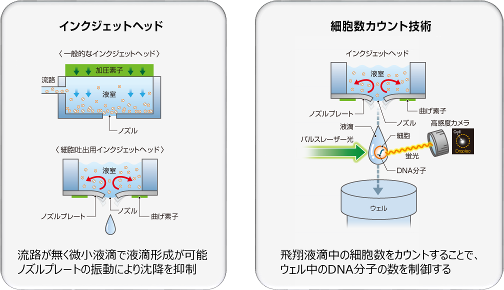 図4