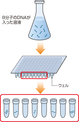 画像：図1