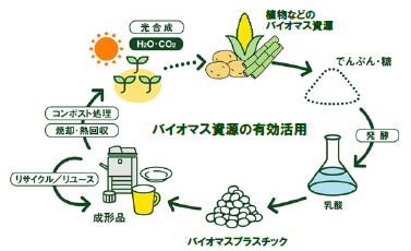 図1:バイオマスプラスチックの循環